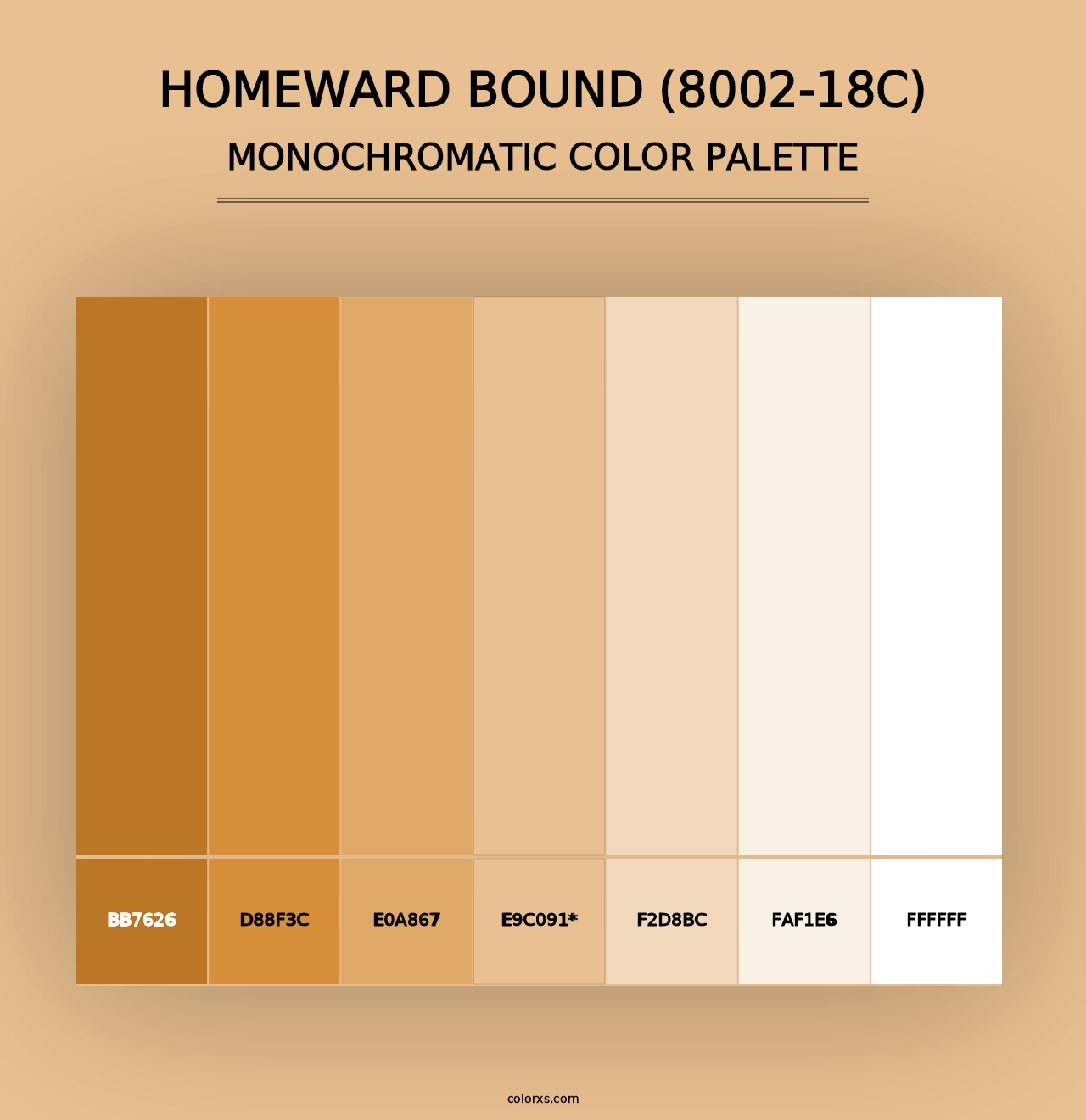 Homeward Bound (8002-18C) - Monochromatic Color Palette