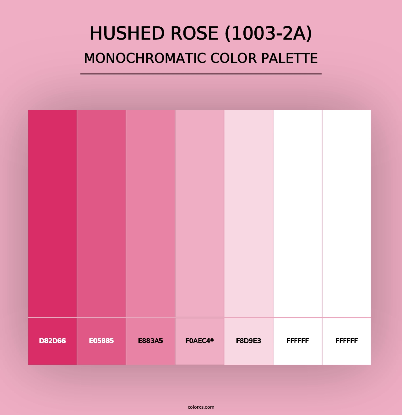 Hushed Rose (1003-2A) - Monochromatic Color Palette