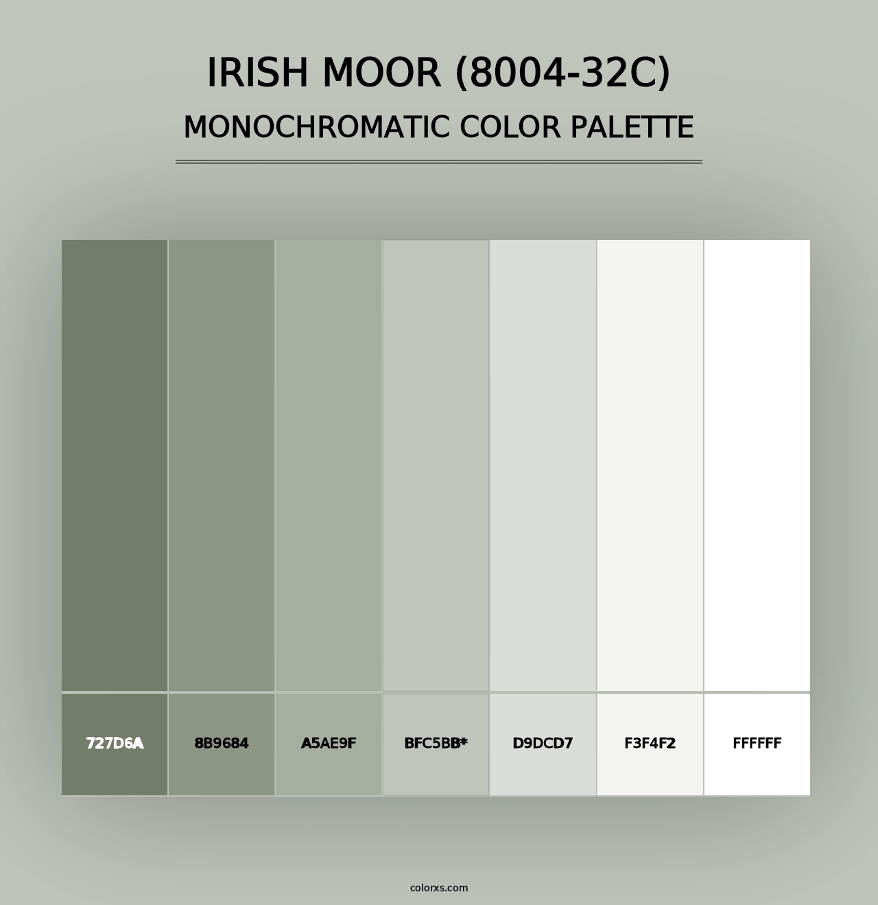 Irish Moor (8004-32C) - Monochromatic Color Palette