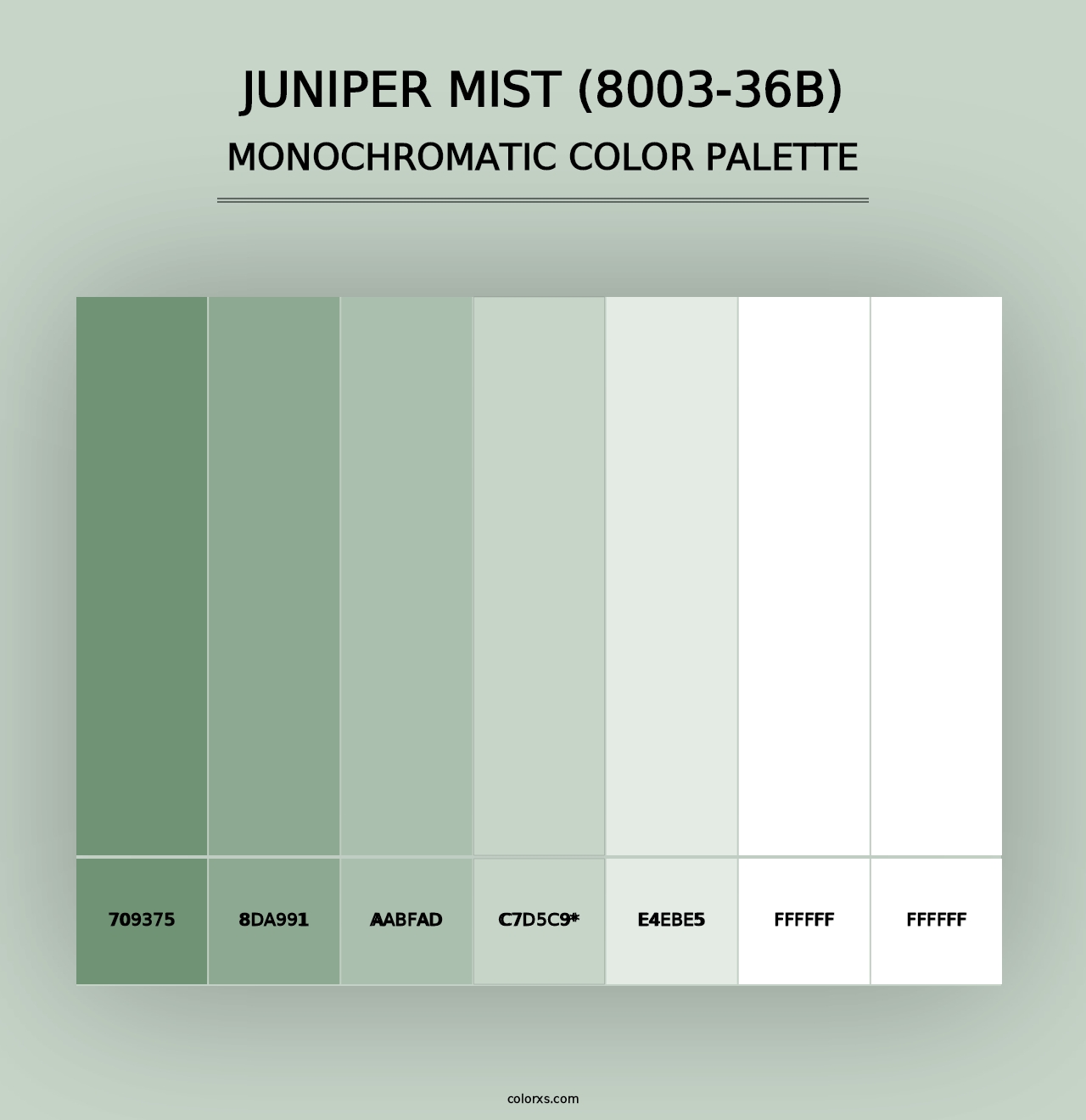 Juniper Mist (8003-36B) - Monochromatic Color Palette