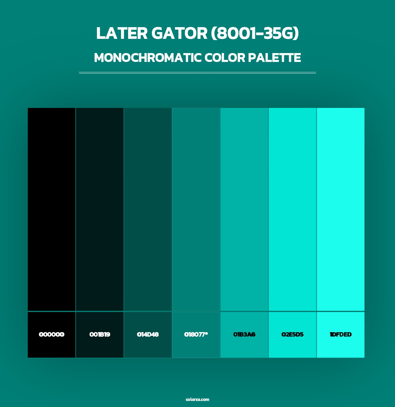 Later Gator (8001-35G) - Monochromatic Color Palette