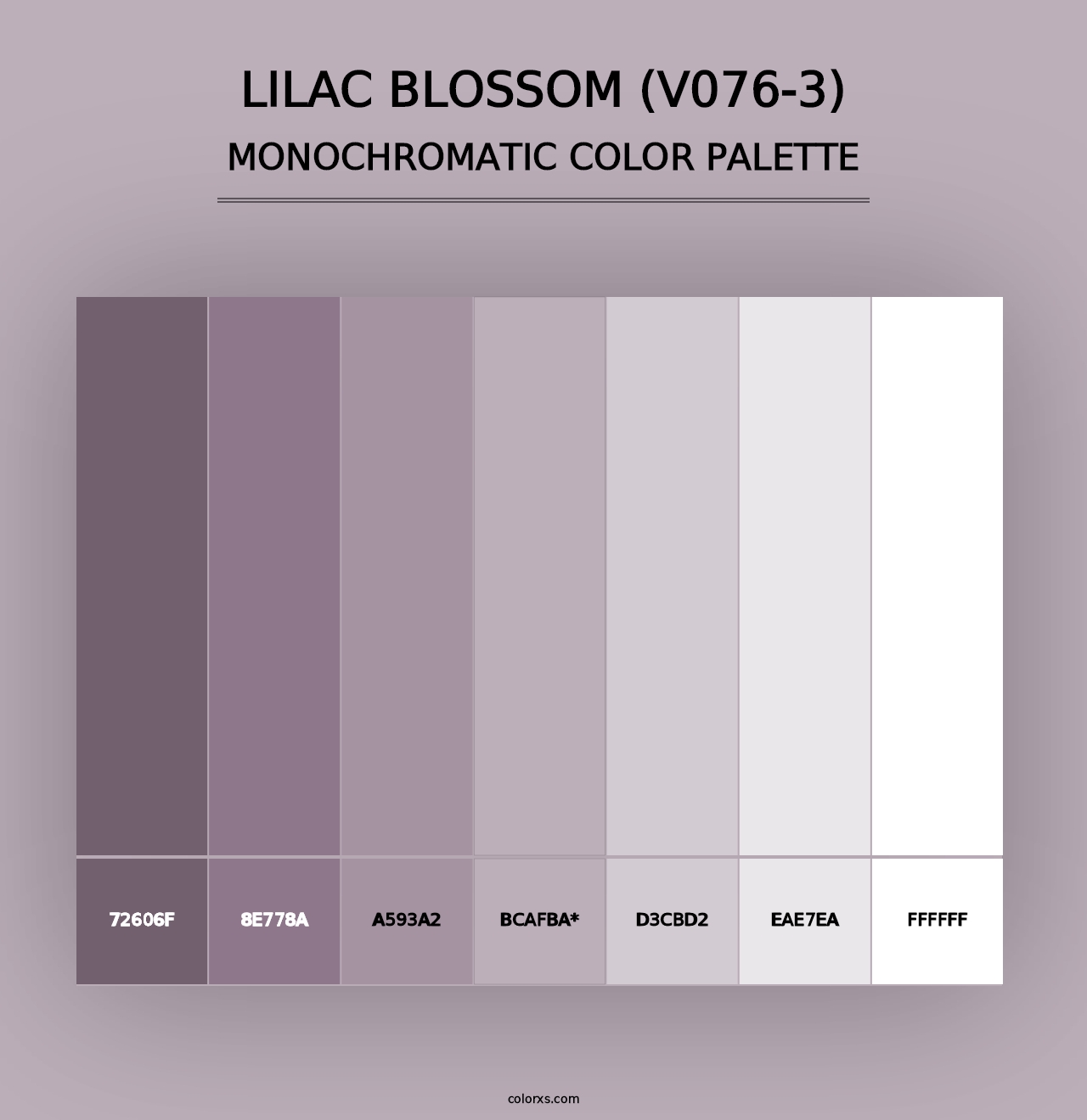 Lilac Blossom (V076-3) - Monochromatic Color Palette