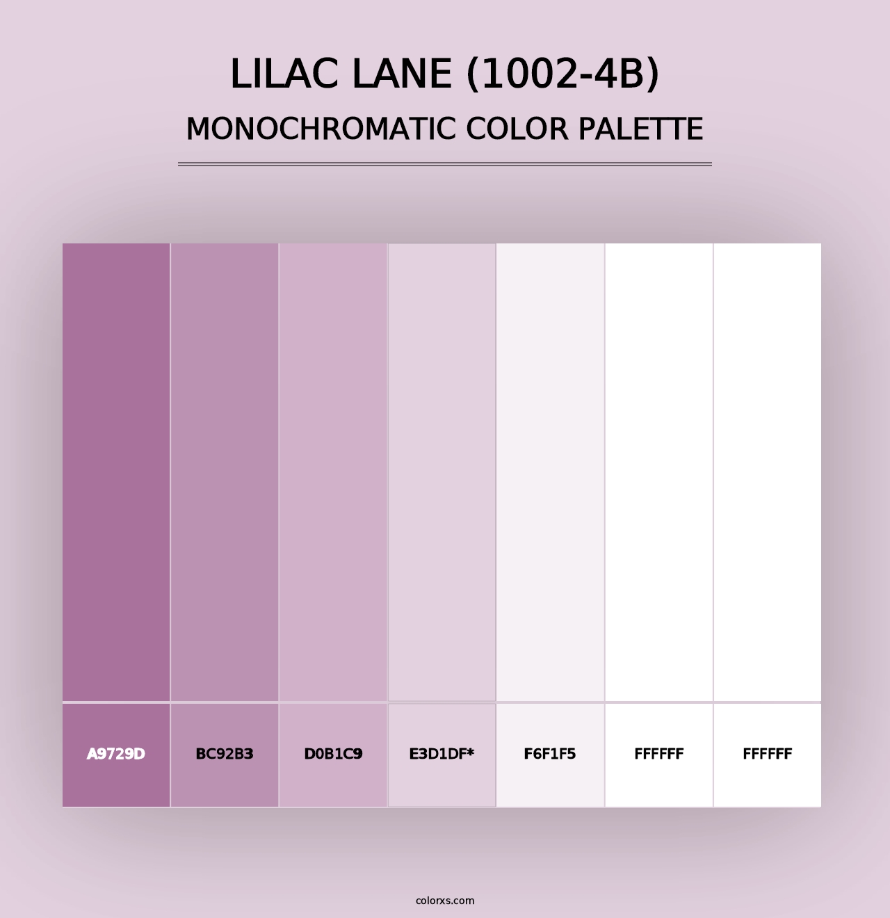 Lilac Lane (1002-4B) - Monochromatic Color Palette