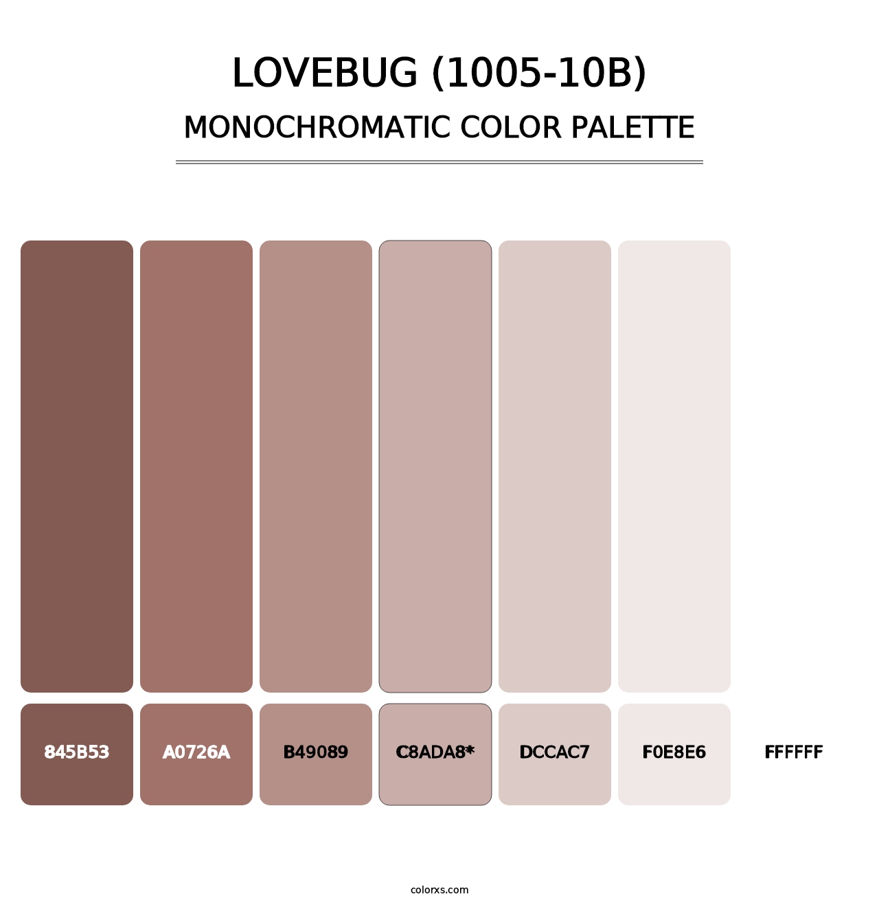 Lovebug (1005-10B) - Monochromatic Color Palette