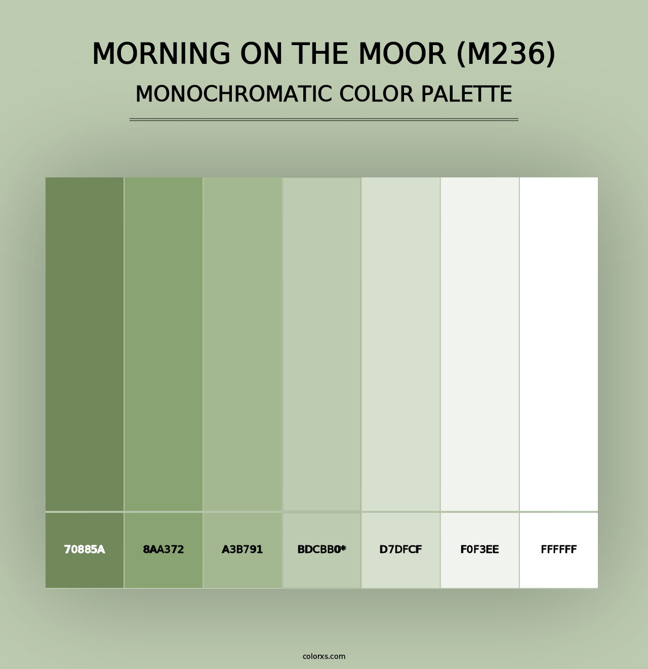 Morning on the Moor (M236) - Monochromatic Color Palette