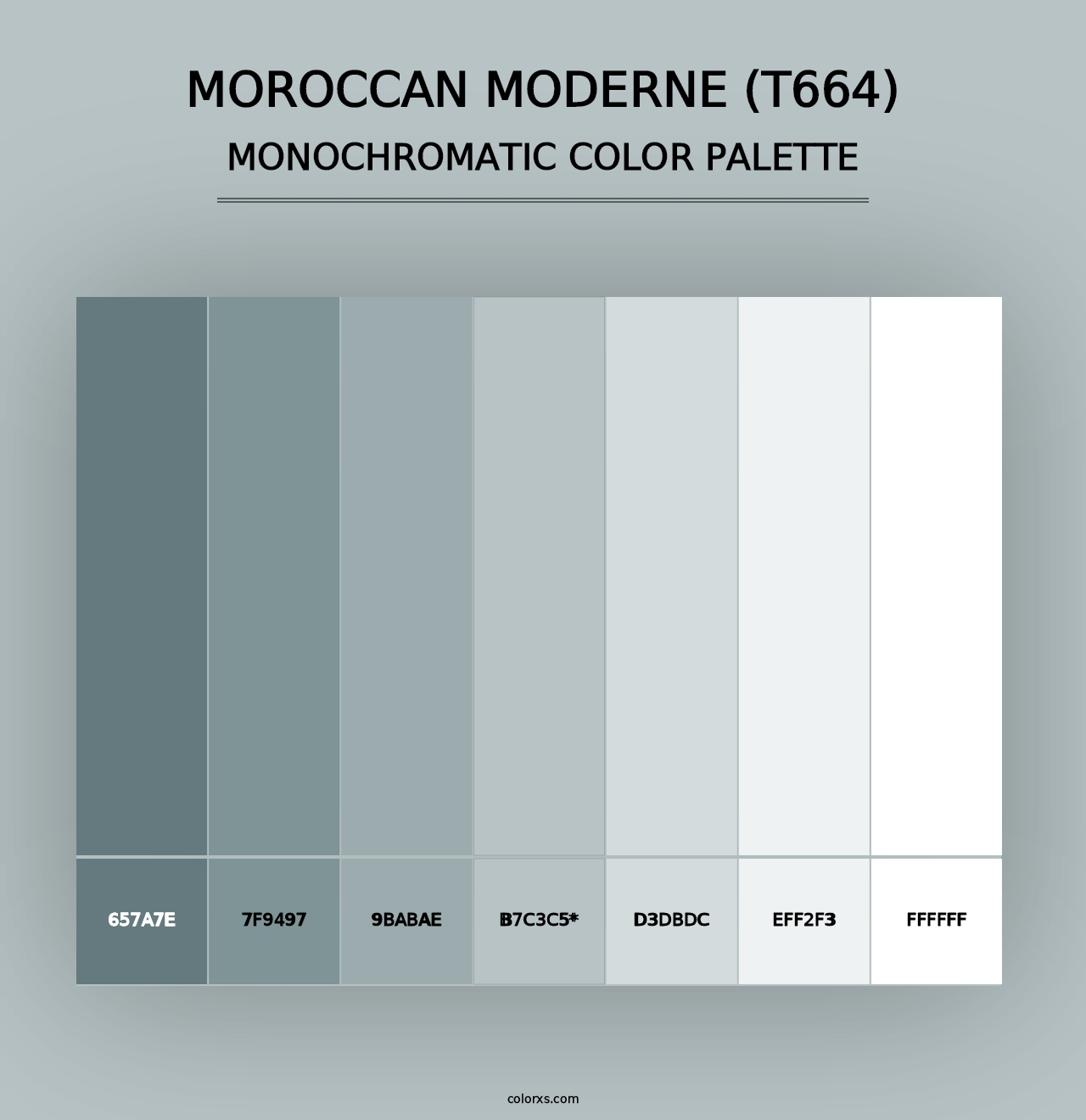 Moroccan Moderne (T664) - Monochromatic Color Palette