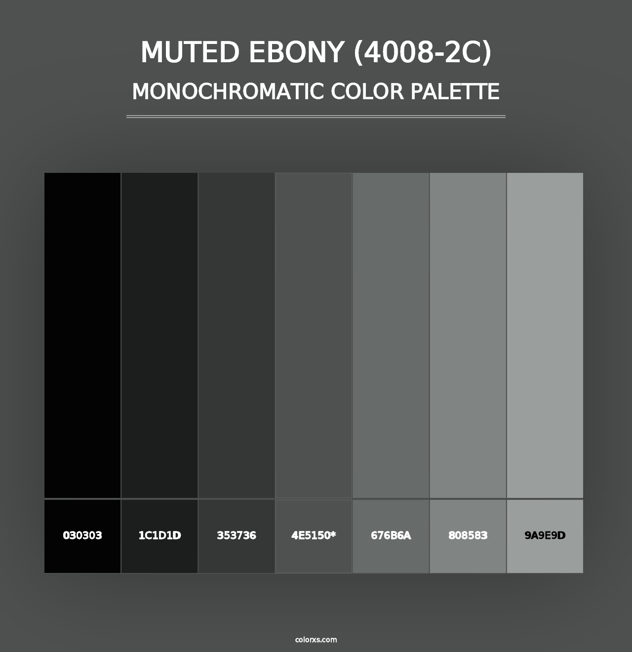 Muted Ebony (4008-2C) - Monochromatic Color Palette