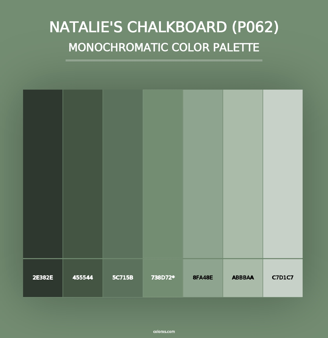 Natalie's Chalkboard (P062) - Monochromatic Color Palette