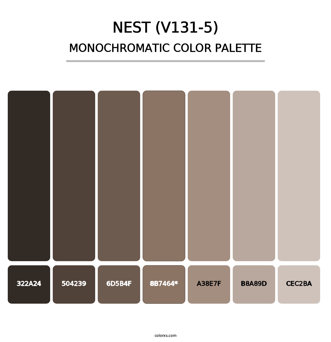 Nest (V131-5) - Monochromatic Color Palette