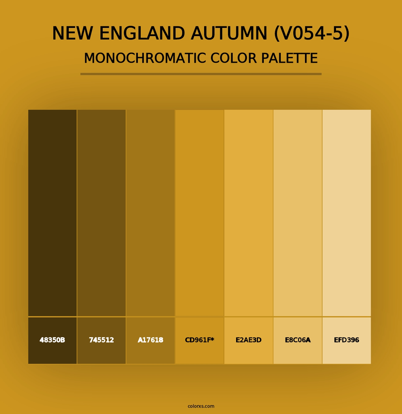 New England Autumn (V054-5) - Monochromatic Color Palette