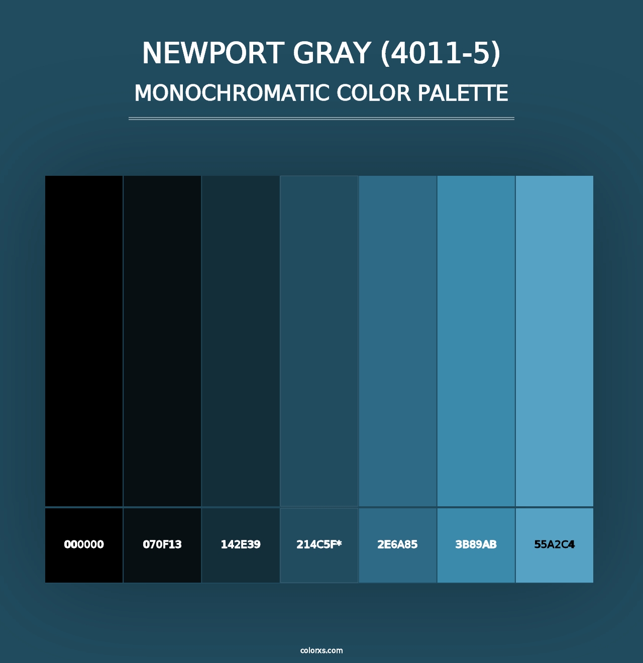 Newport Gray (4011-5) - Monochromatic Color Palette