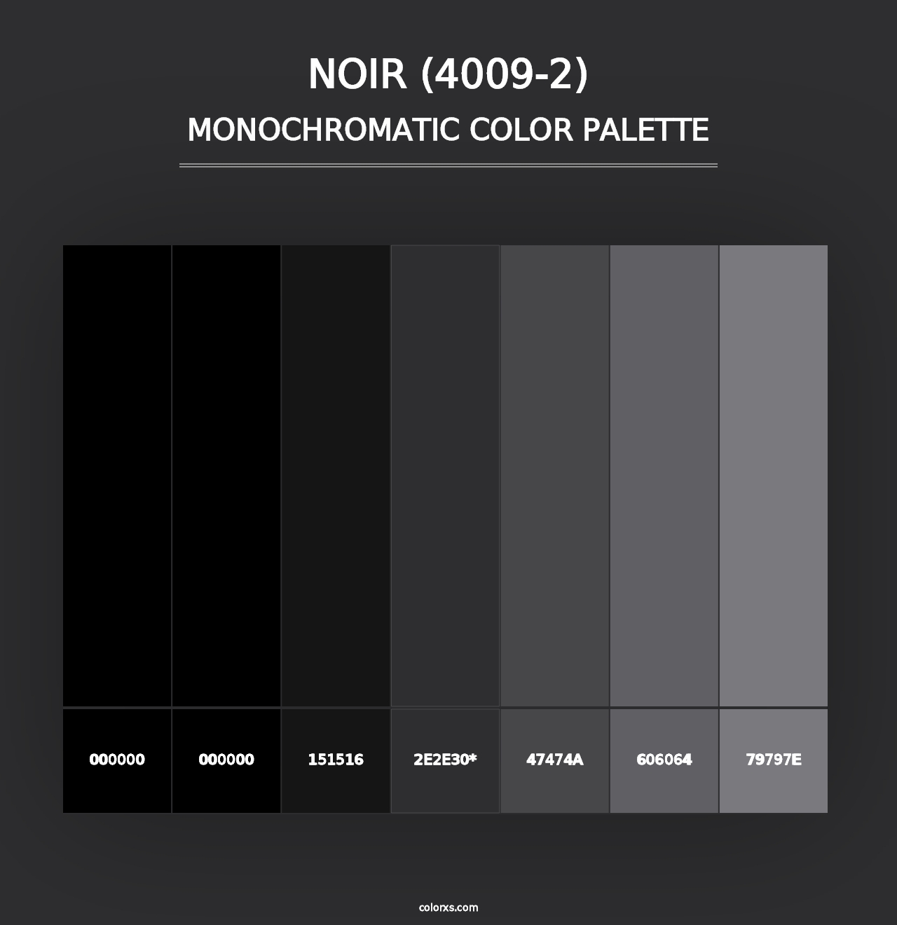 Noir (4009-2) - Monochromatic Color Palette