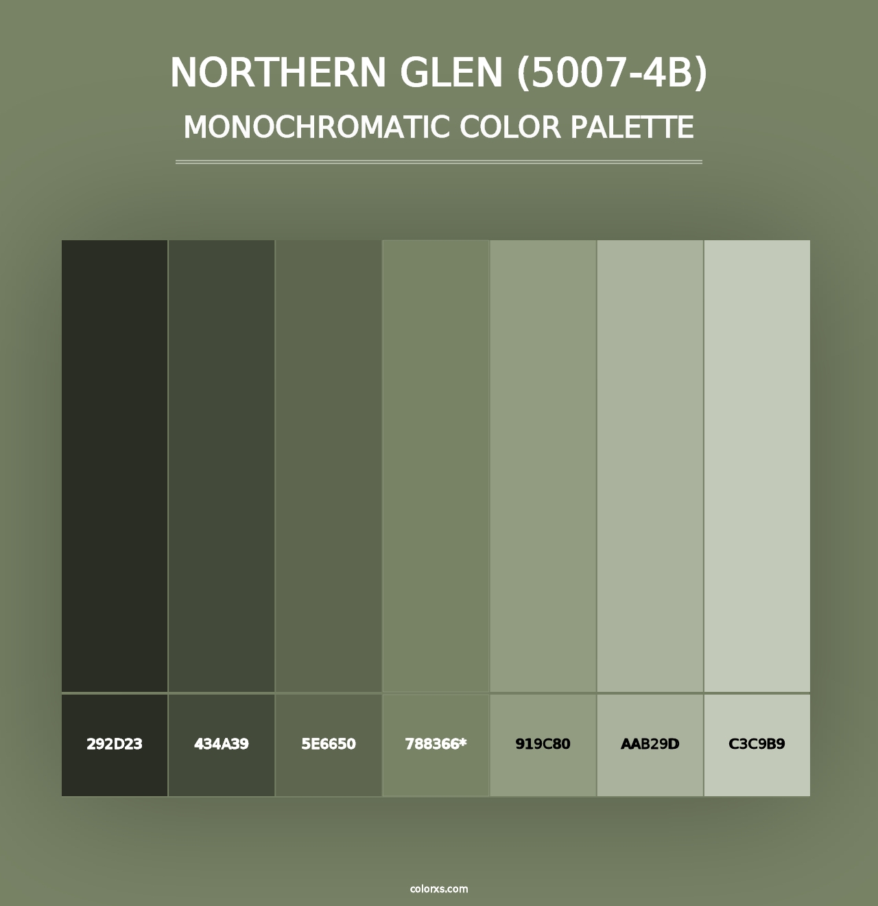 Northern Glen (5007-4B) - Monochromatic Color Palette