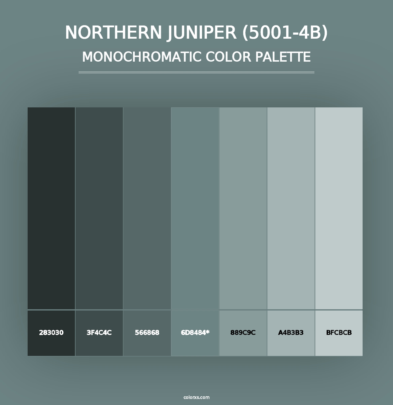 Northern Juniper (5001-4B) - Monochromatic Color Palette