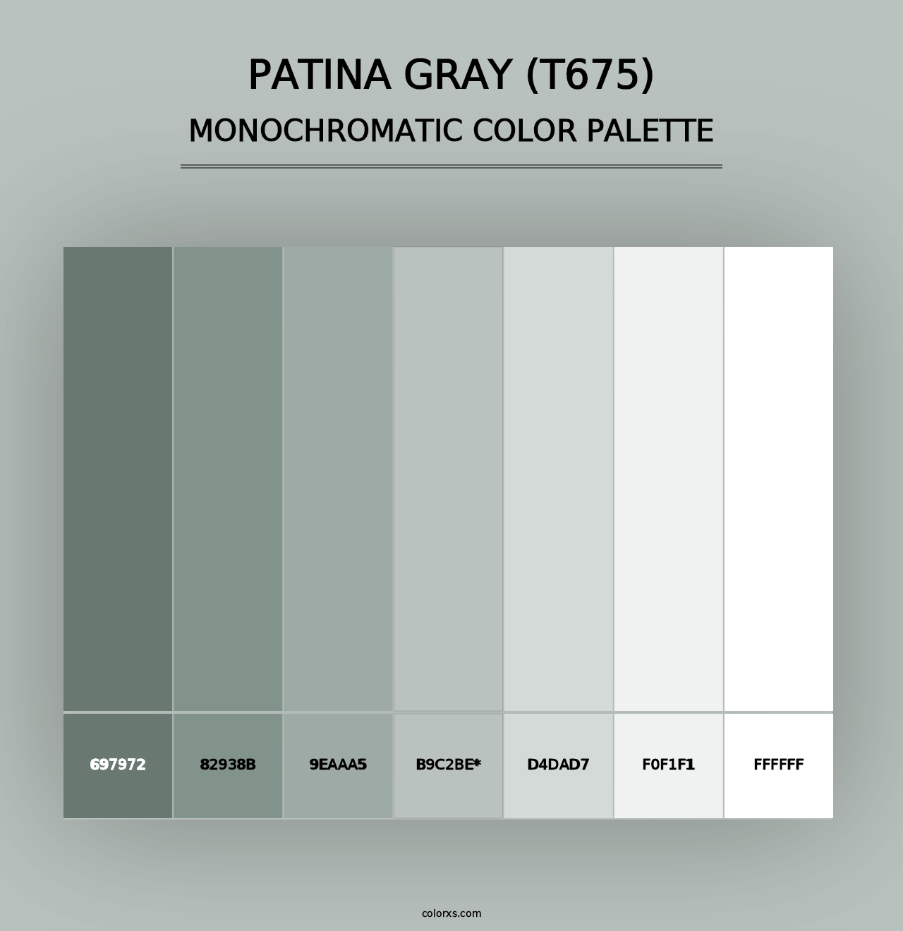 Patina Gray (T675) - Monochromatic Color Palette