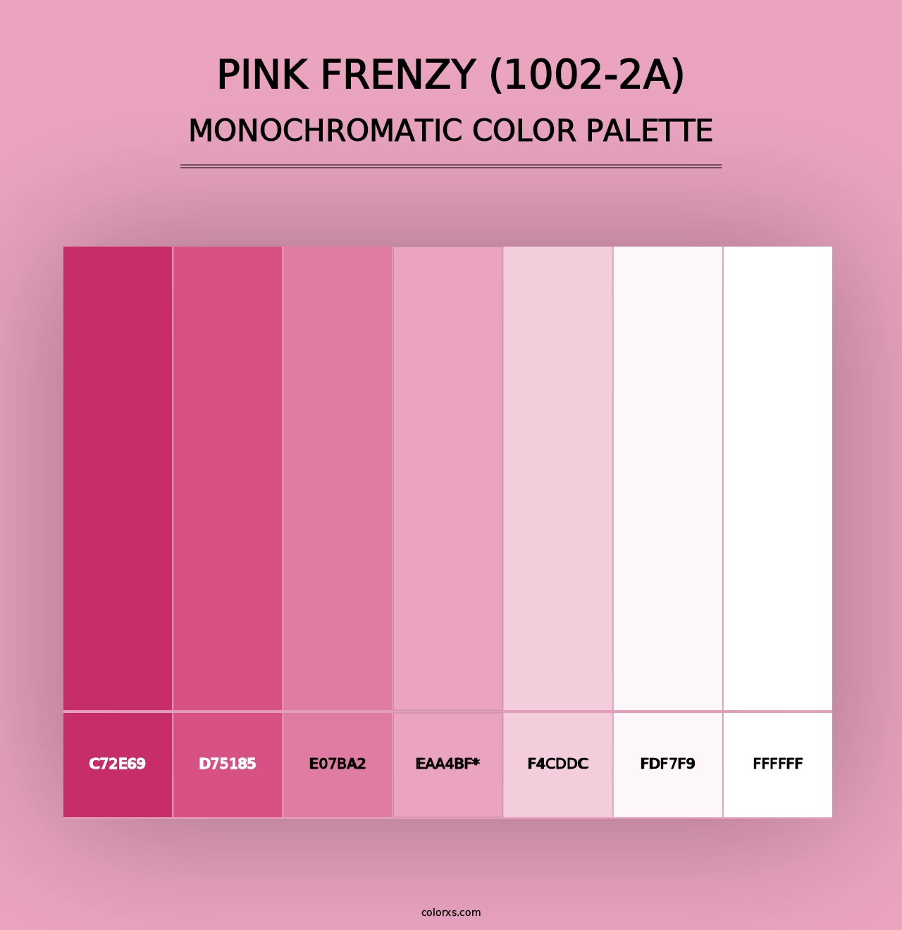 Pink Frenzy (1002-2A) - Monochromatic Color Palette