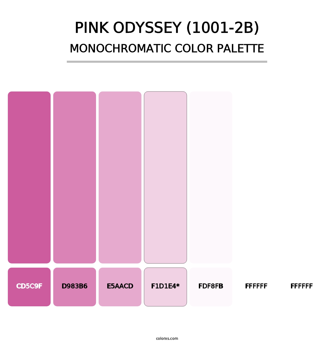 Pink Odyssey (1001-2B) - Monochromatic Color Palette