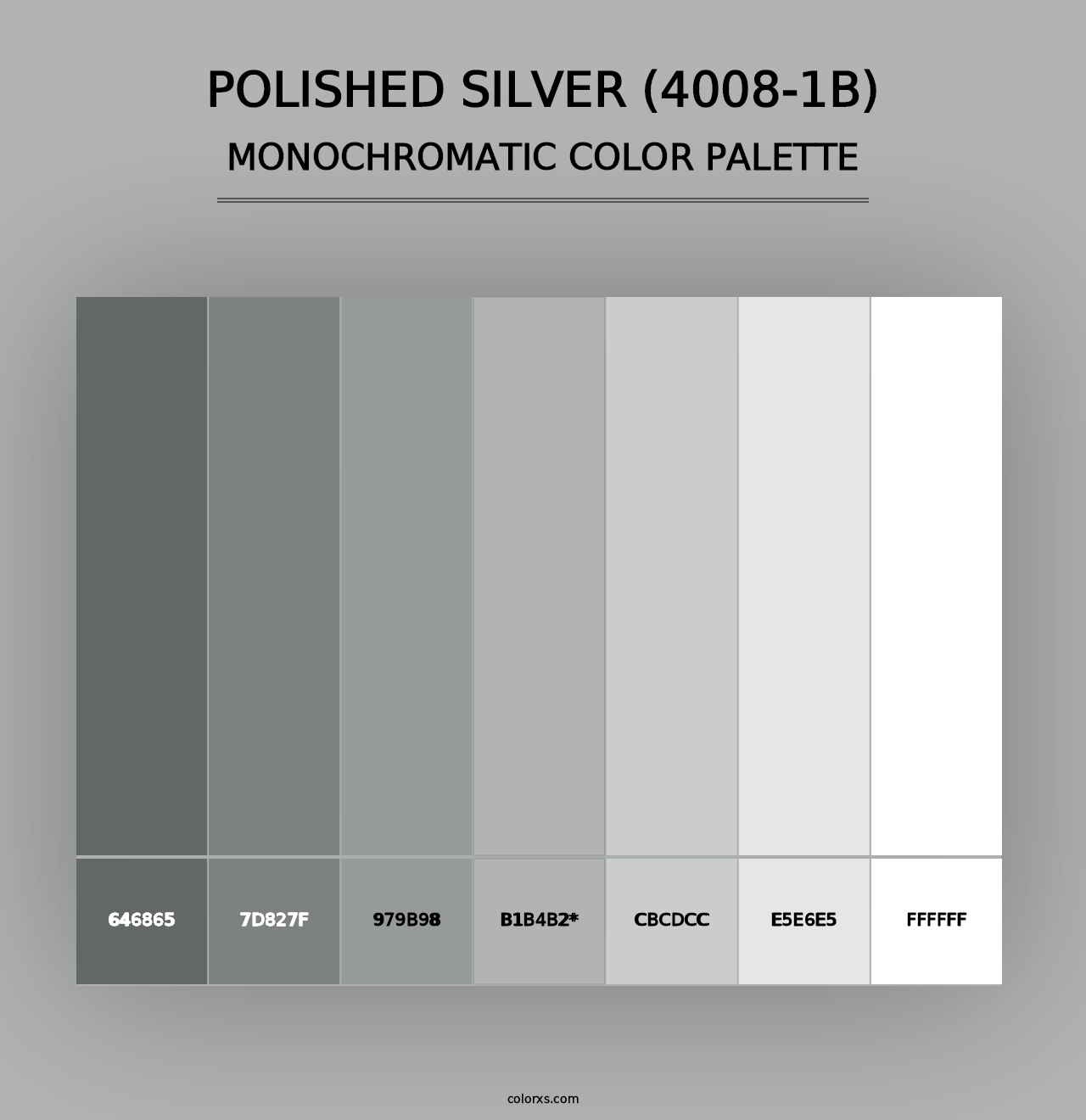 Polished Silver (4008-1B) - Monochromatic Color Palette