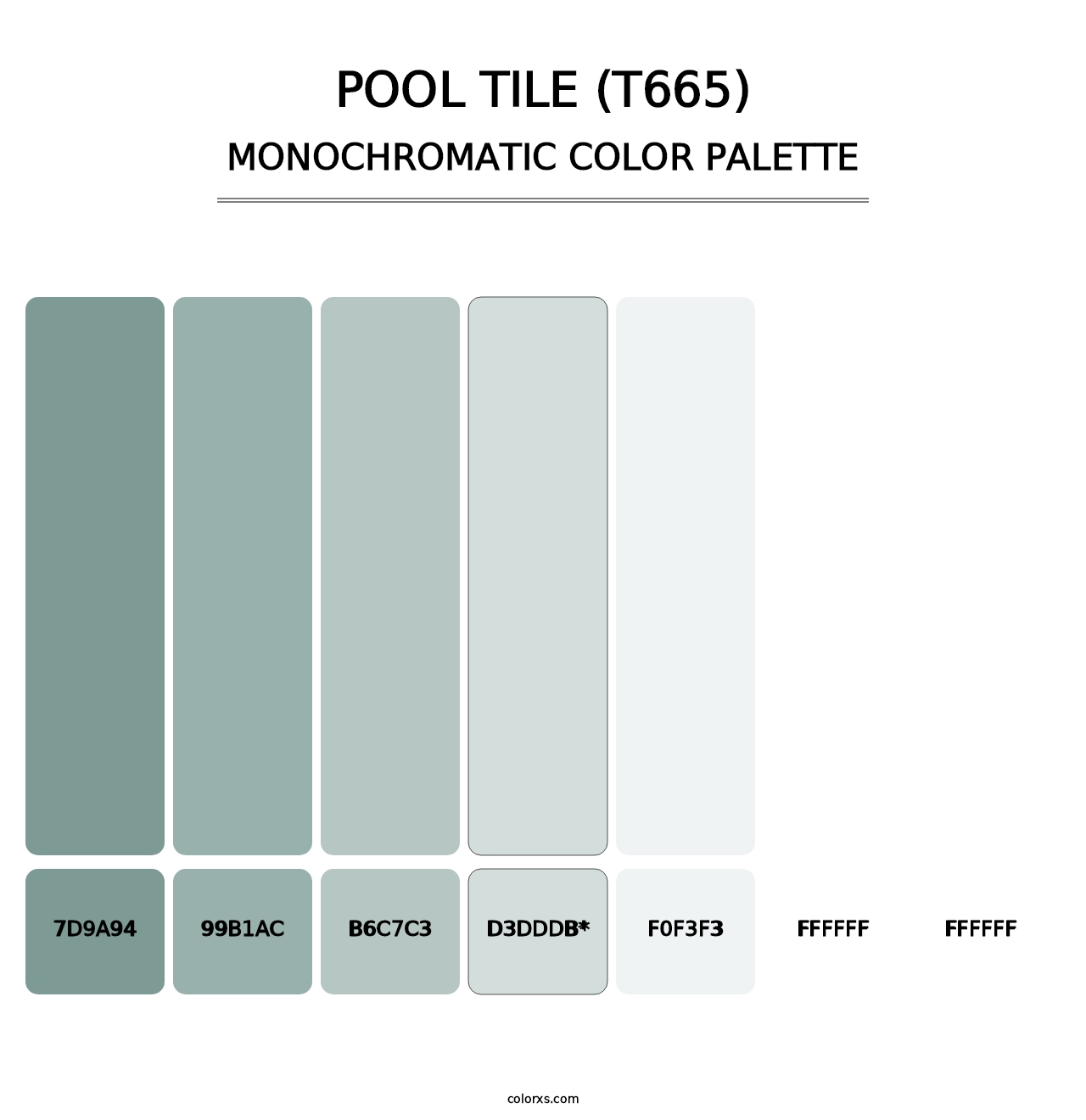 Pool Tile (T665) - Monochromatic Color Palette