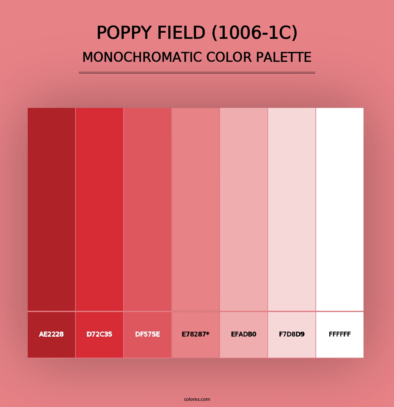 Poppy Field (1006-1C) - Monochromatic Color Palette