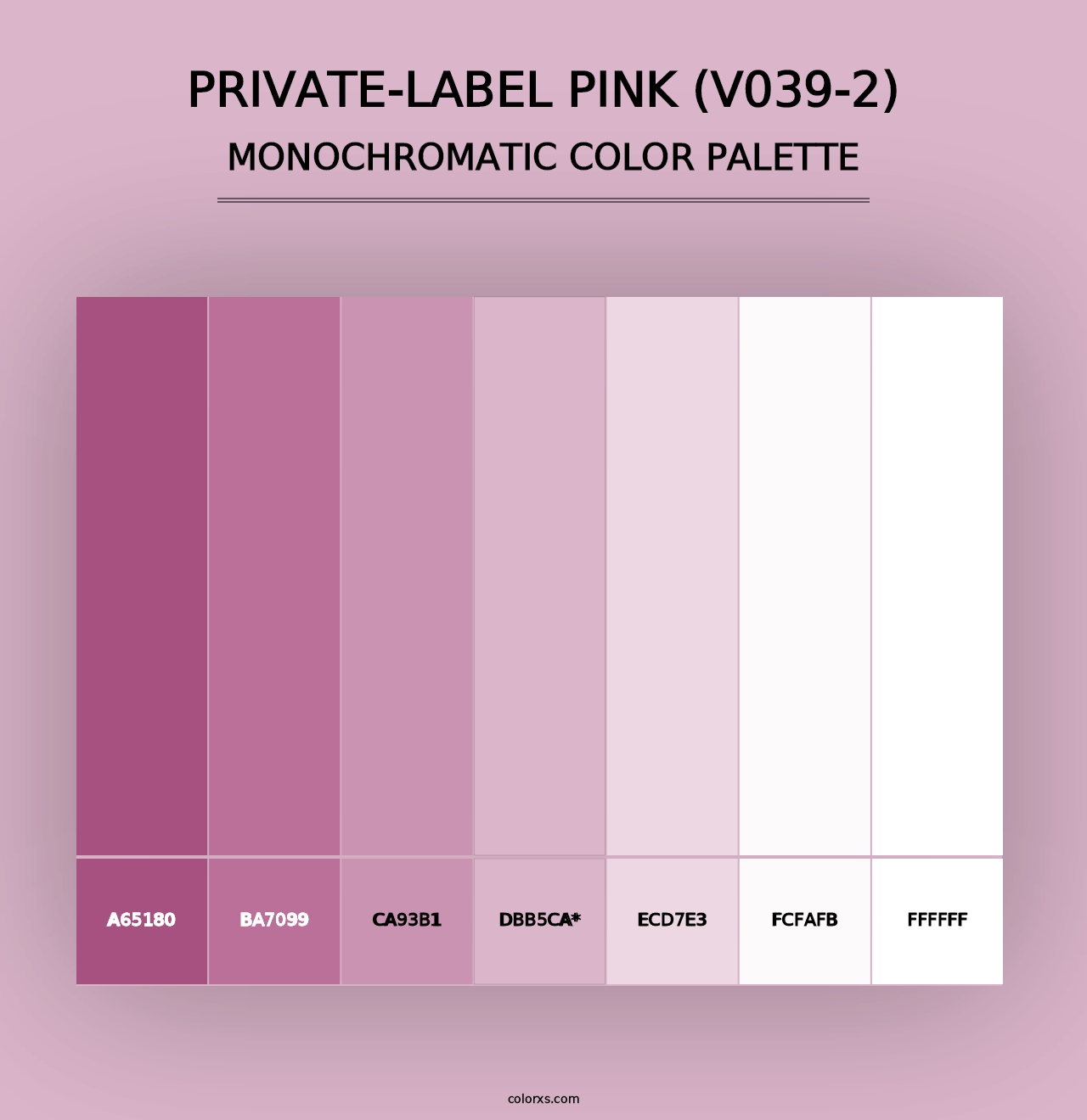 Private-Label Pink (V039-2) - Monochromatic Color Palette