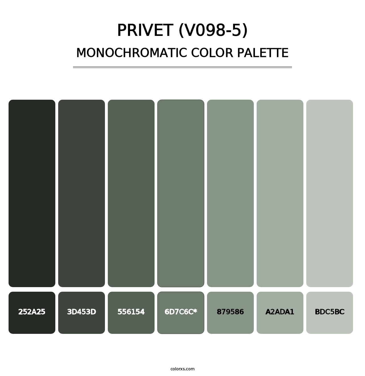 Privet (V098-5) - Monochromatic Color Palette