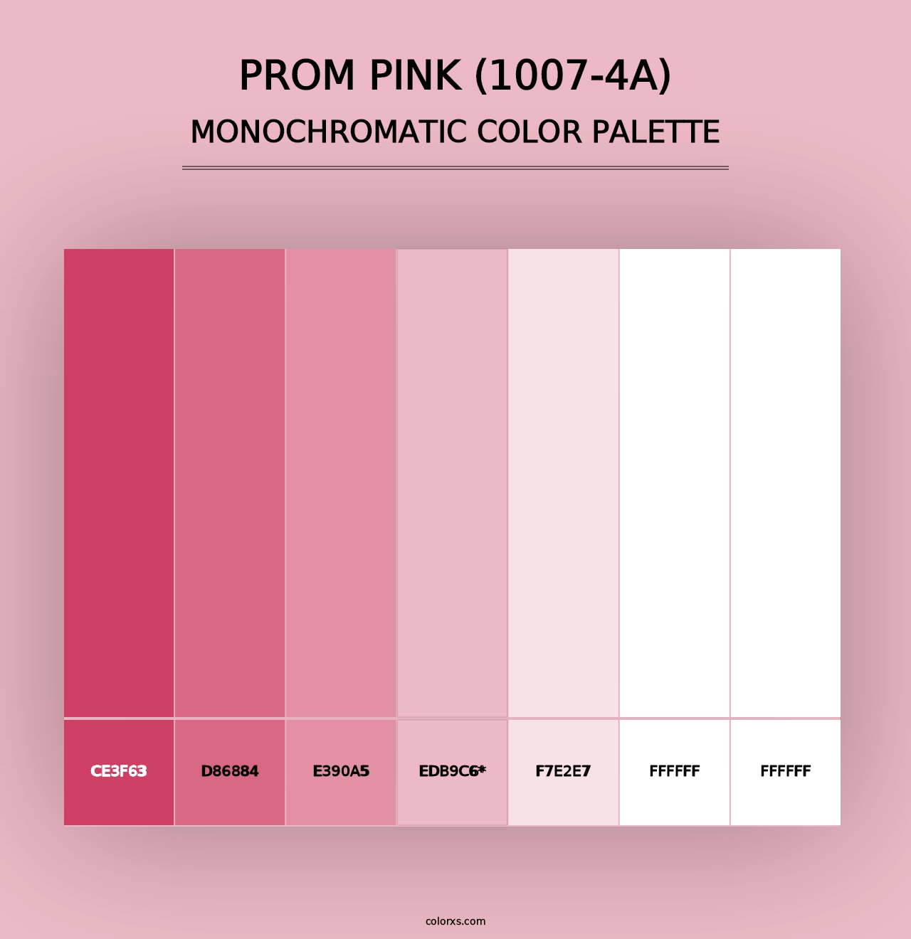 Prom Pink (1007-4A) - Monochromatic Color Palette