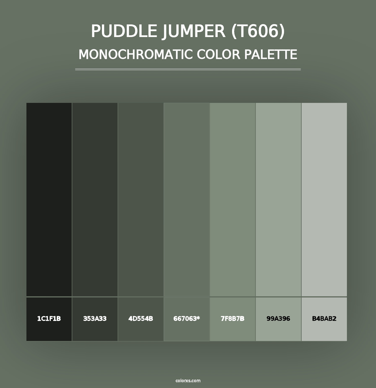 Puddle Jumper (T606) - Monochromatic Color Palette