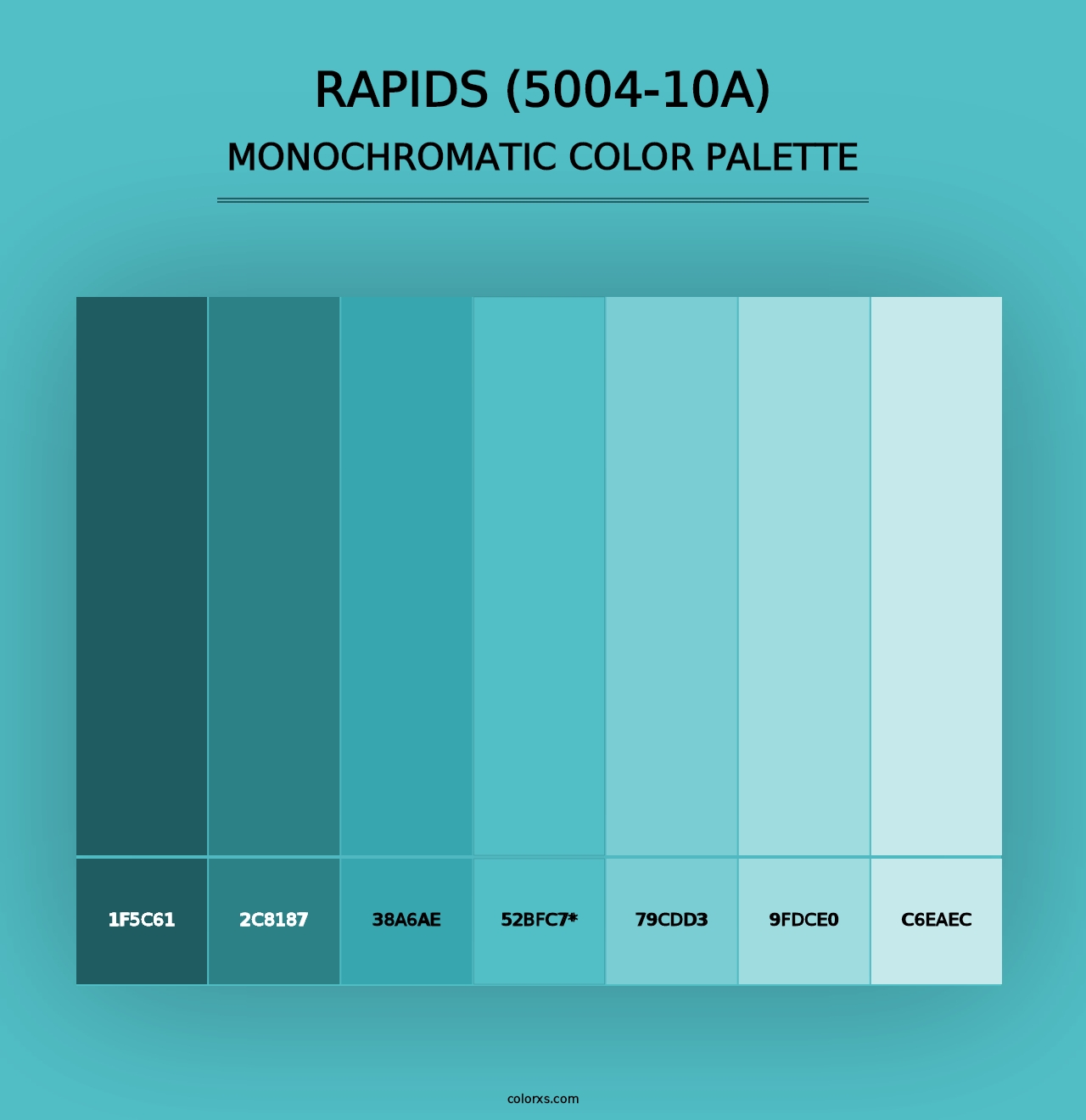 Rapids (5004-10A) - Monochromatic Color Palette