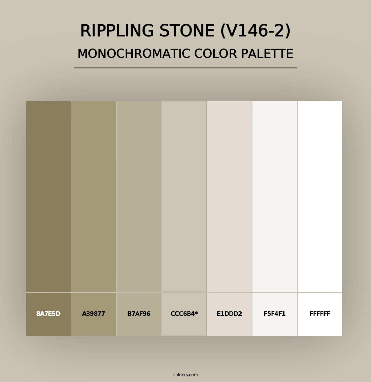 Rippling Stone (V146-2) - Monochromatic Color Palette