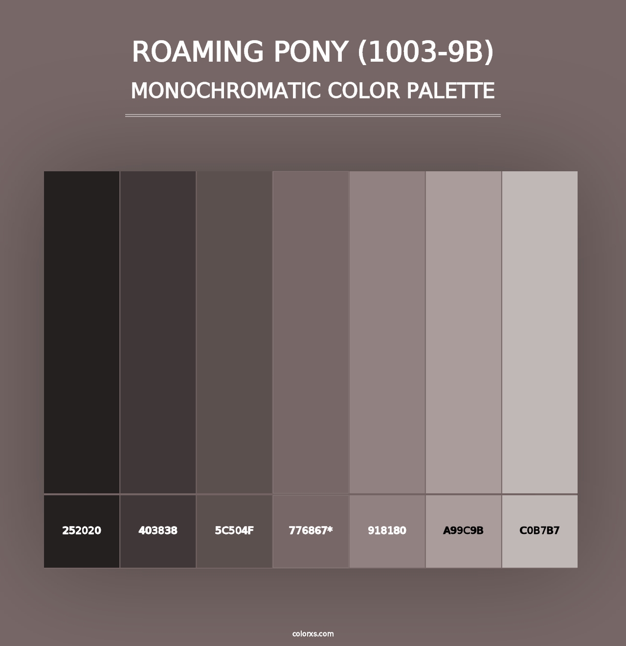 Roaming Pony (1003-9B) - Monochromatic Color Palette