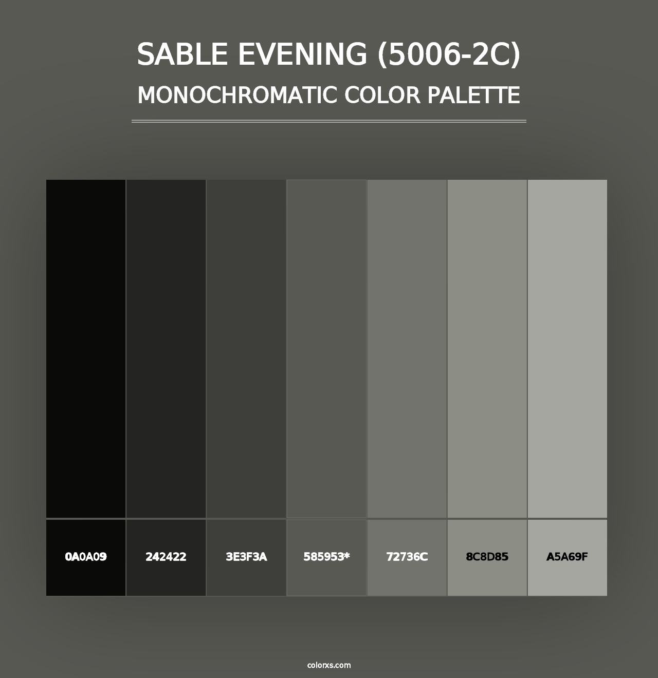 Sable Evening (5006-2C) - Monochromatic Color Palette