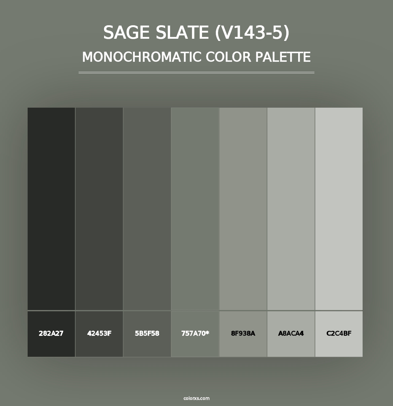 Sage Slate (V143-5) - Monochromatic Color Palette