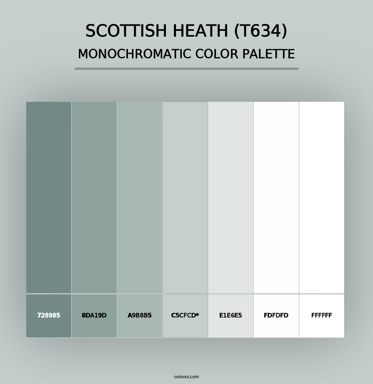 Scottish Heath (T634) - Monochromatic Color Palette