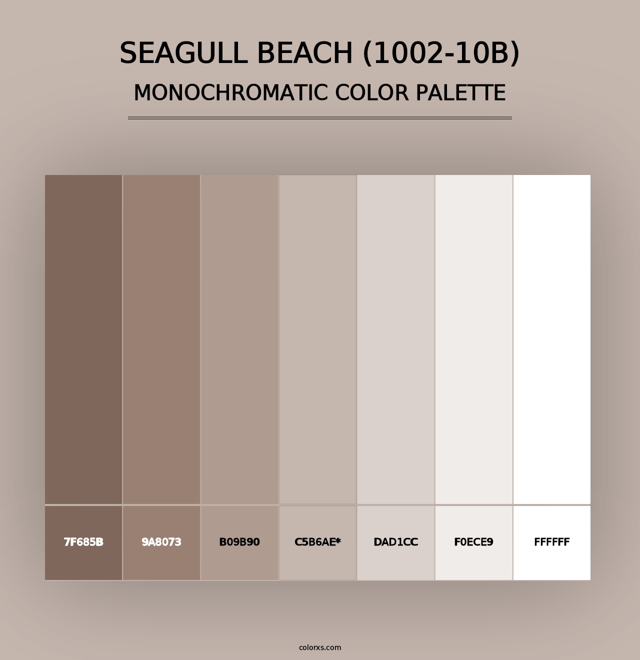 Seagull Beach (1002-10B) - Monochromatic Color Palette