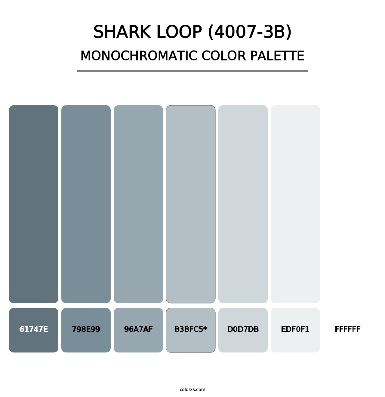 Shark Loop (4007-3B) - Monochromatic Color Palette