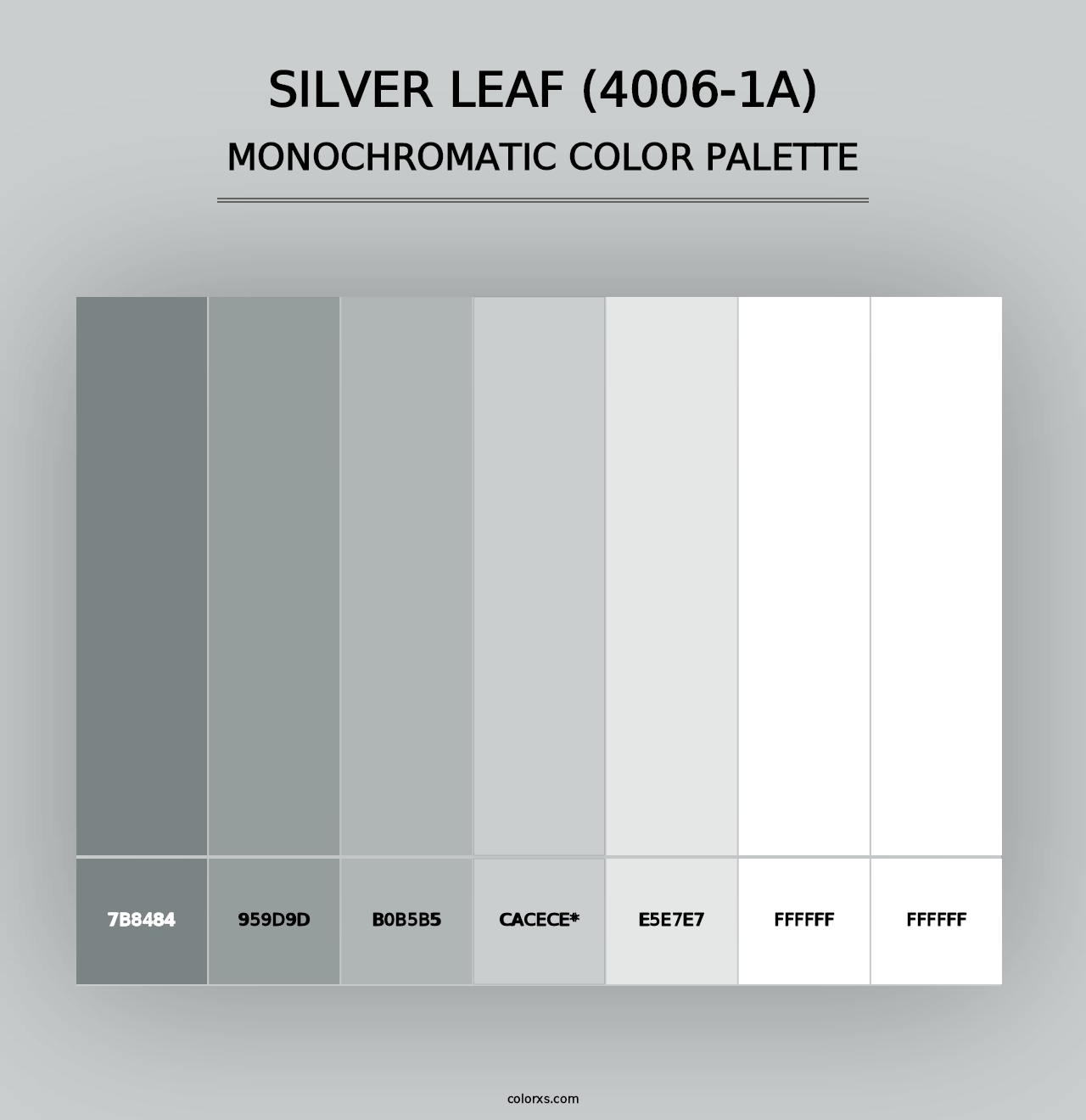 Silver Leaf (4006-1A) - Monochromatic Color Palette