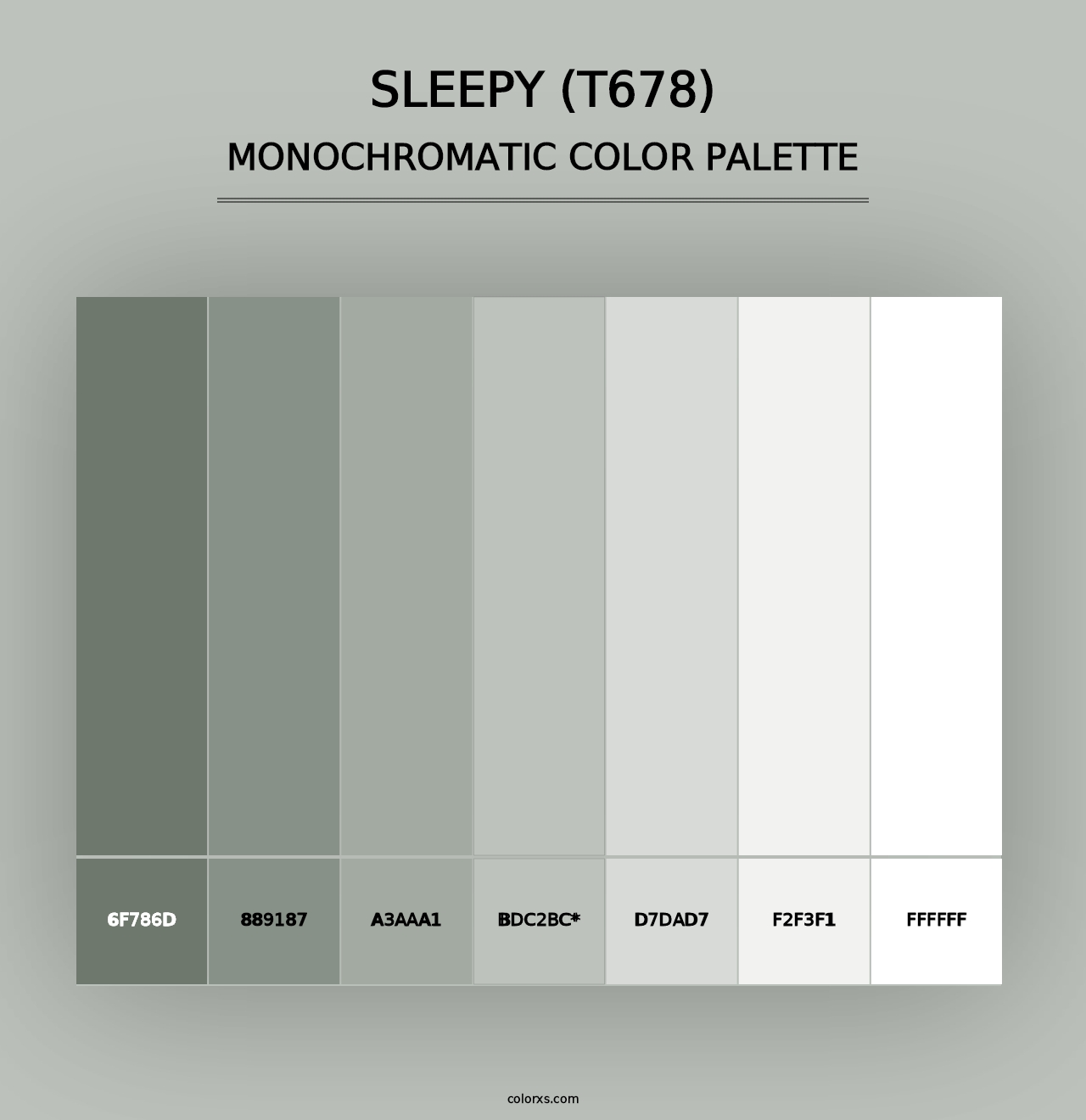 Sleepy (T678) - Monochromatic Color Palette