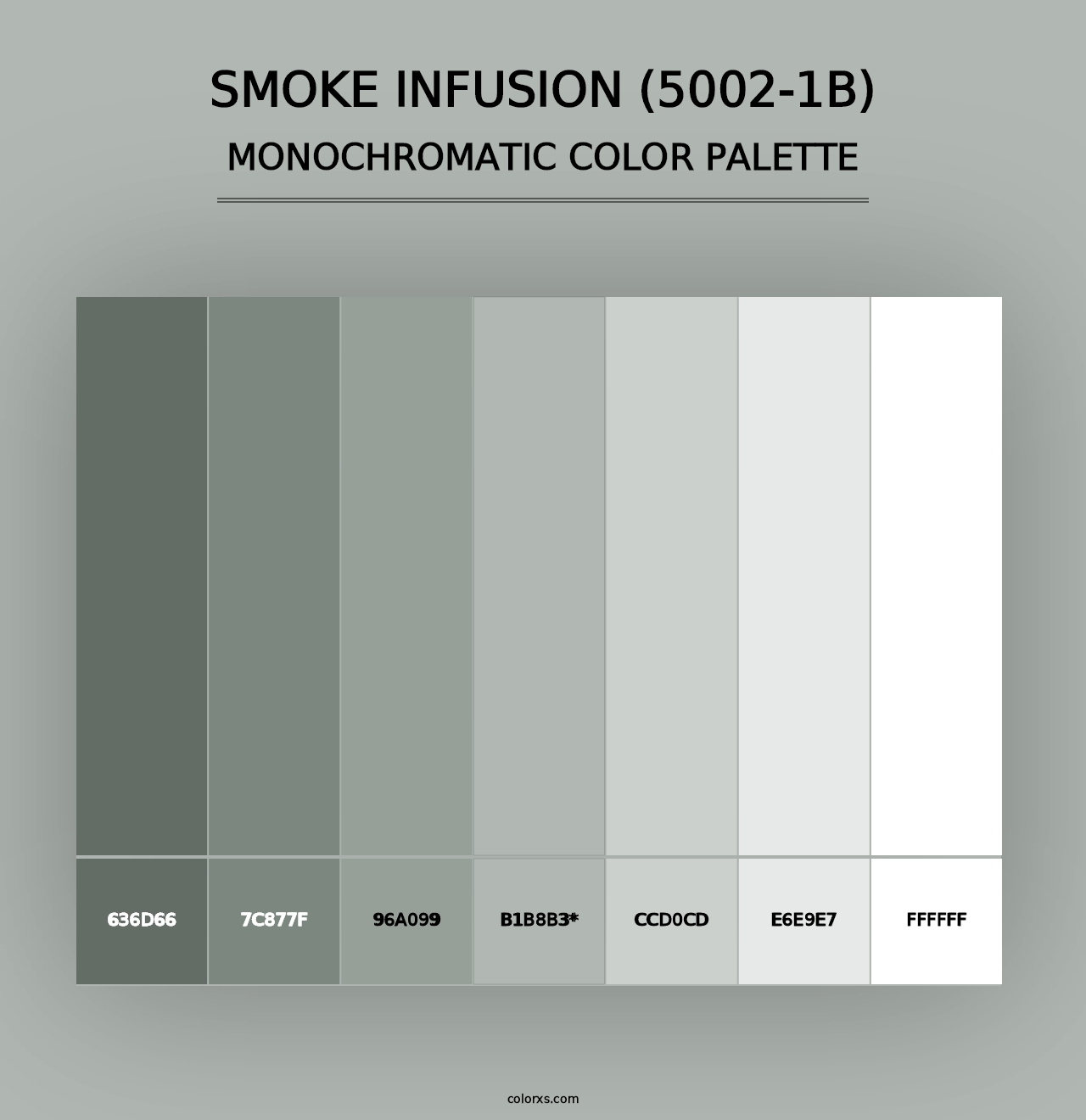 Smoke Infusion (5002-1B) - Monochromatic Color Palette