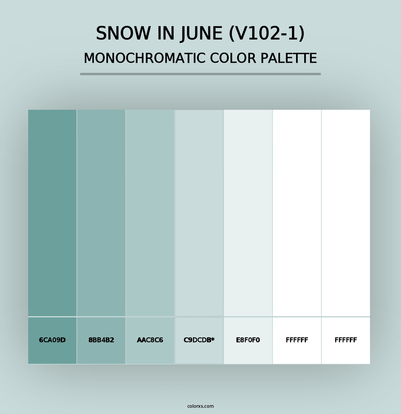 Snow in June (V102-1) - Monochromatic Color Palette