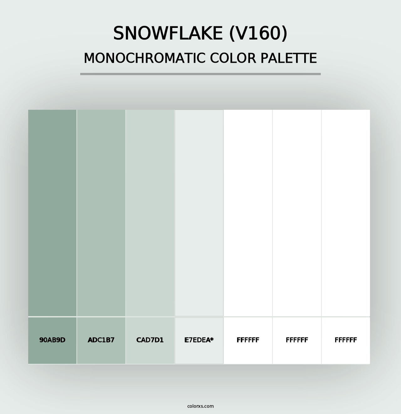 Snowflake (V160) - Monochromatic Color Palette