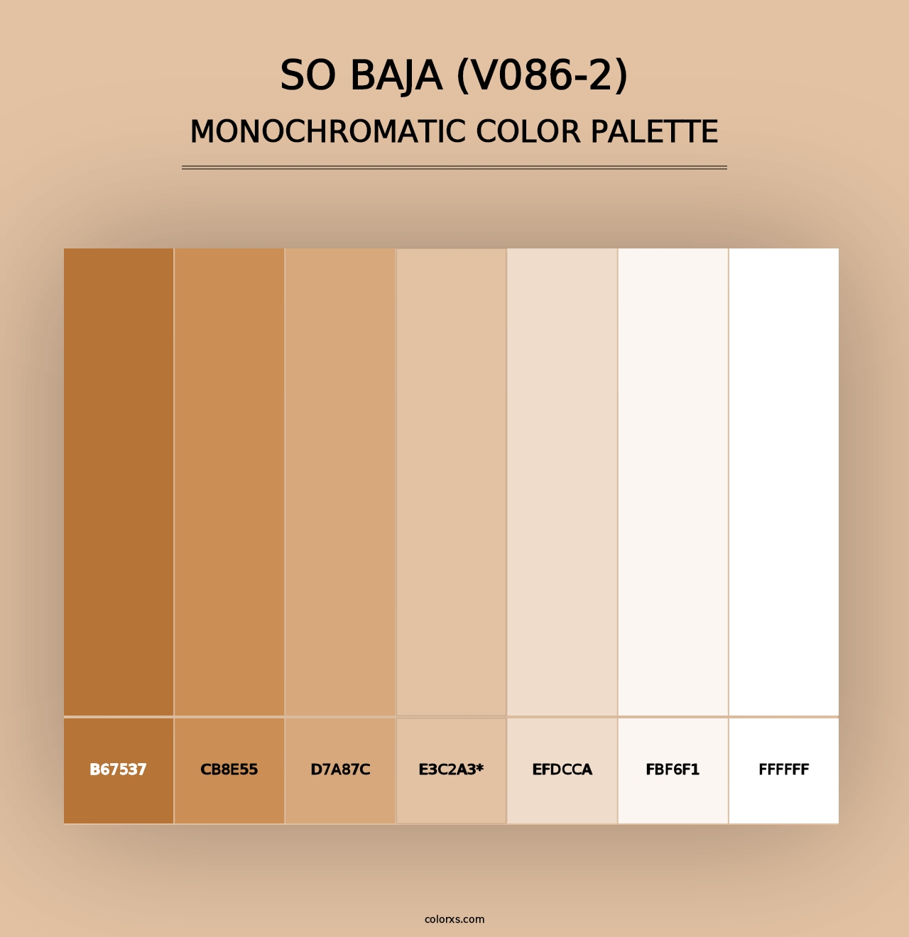 So Baja (V086-2) - Monochromatic Color Palette