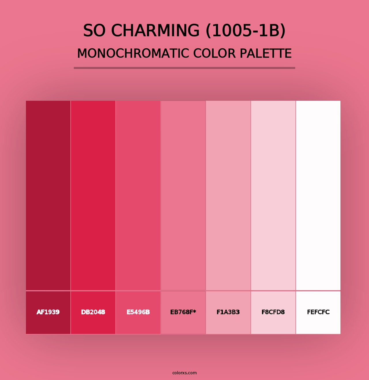 So Charming (1005-1B) - Monochromatic Color Palette