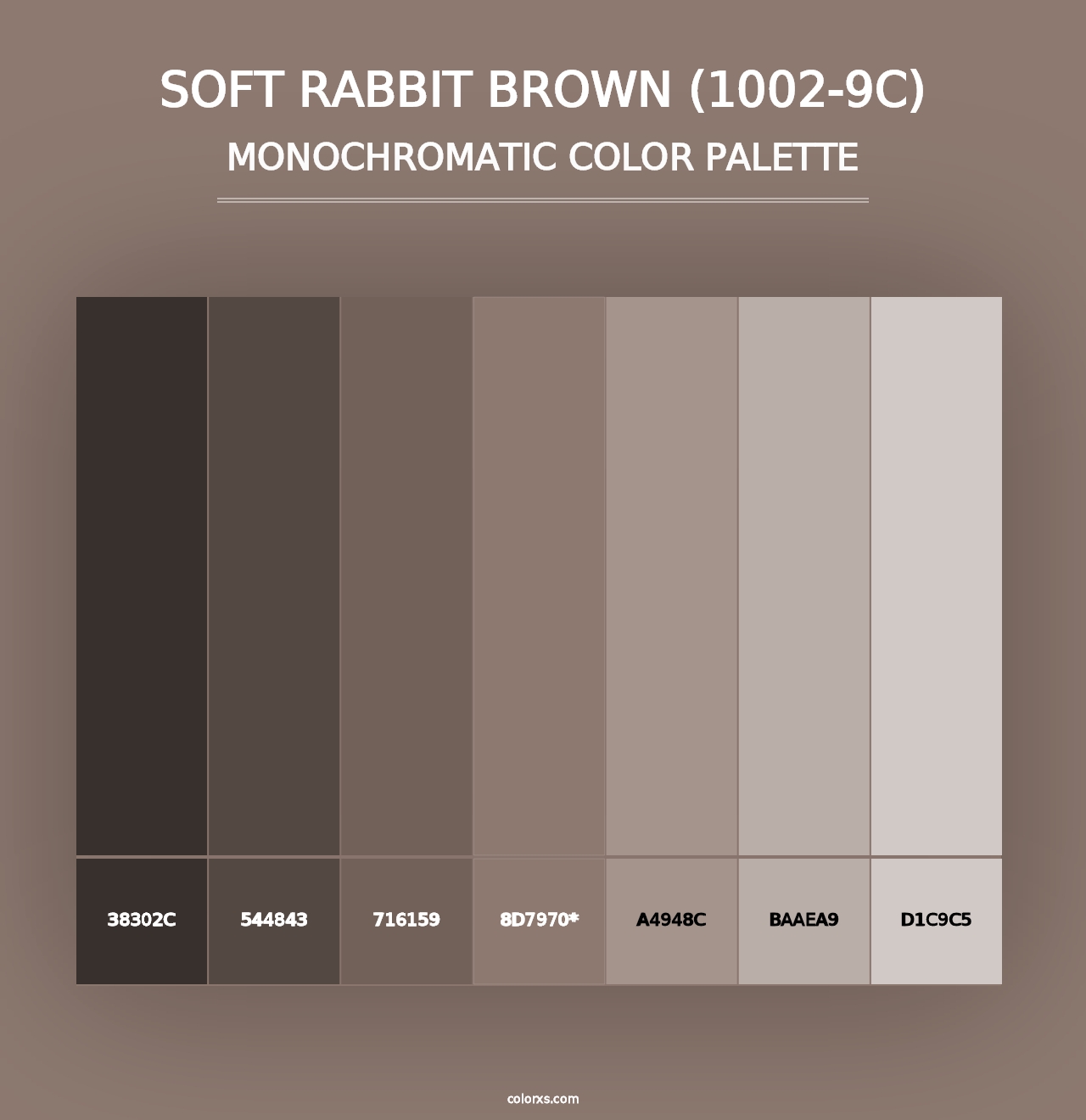 Soft Rabbit Brown (1002-9C) - Monochromatic Color Palette