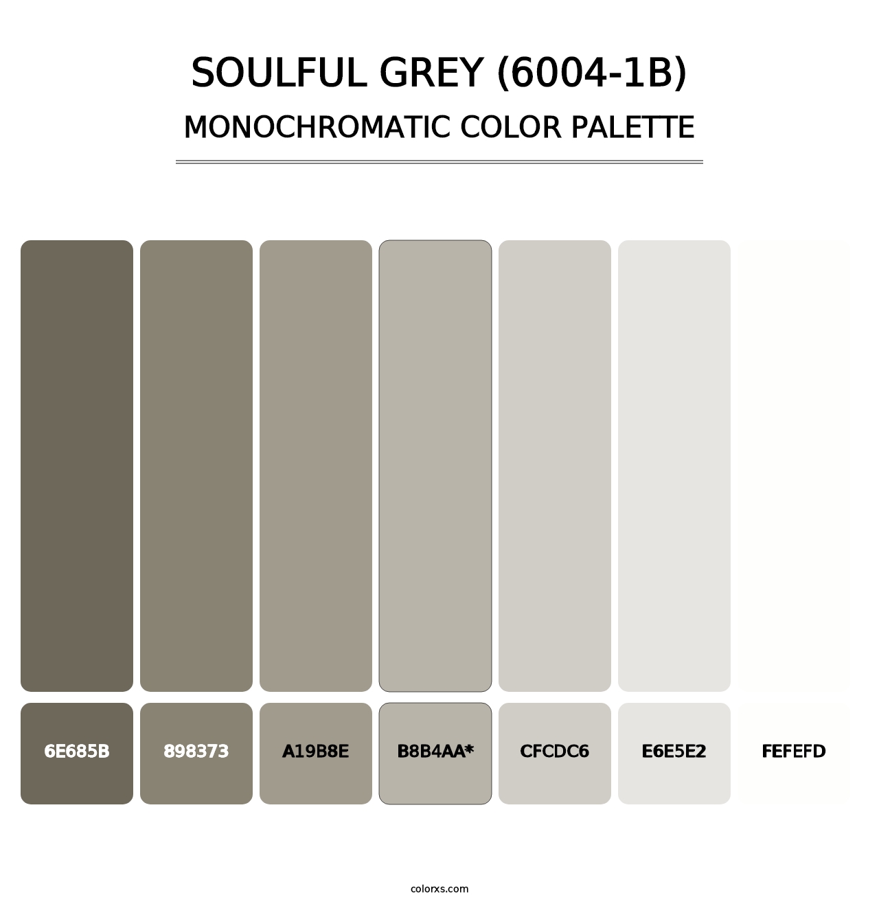 Soulful Grey (6004-1B) - Monochromatic Color Palette