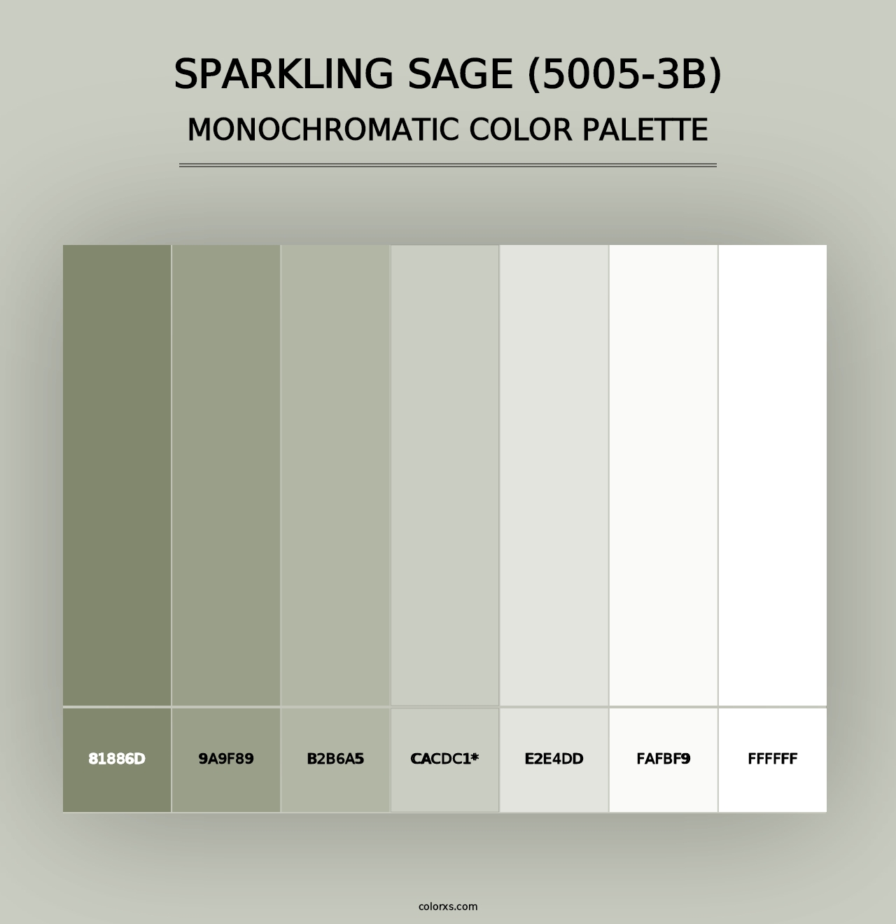 Sparkling Sage (5005-3B) - Monochromatic Color Palette