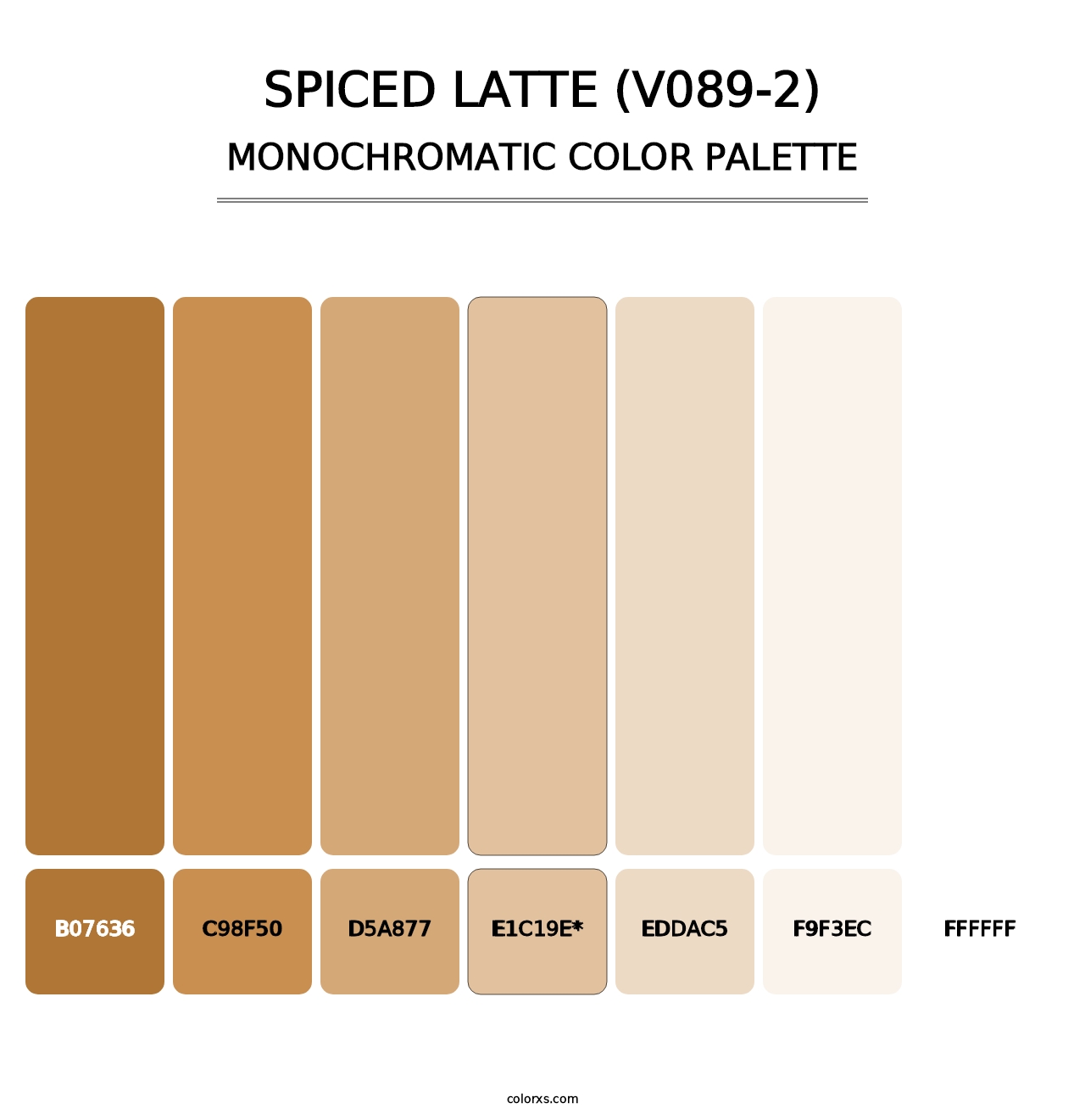 Spiced Latte (V089-2) - Monochromatic Color Palette