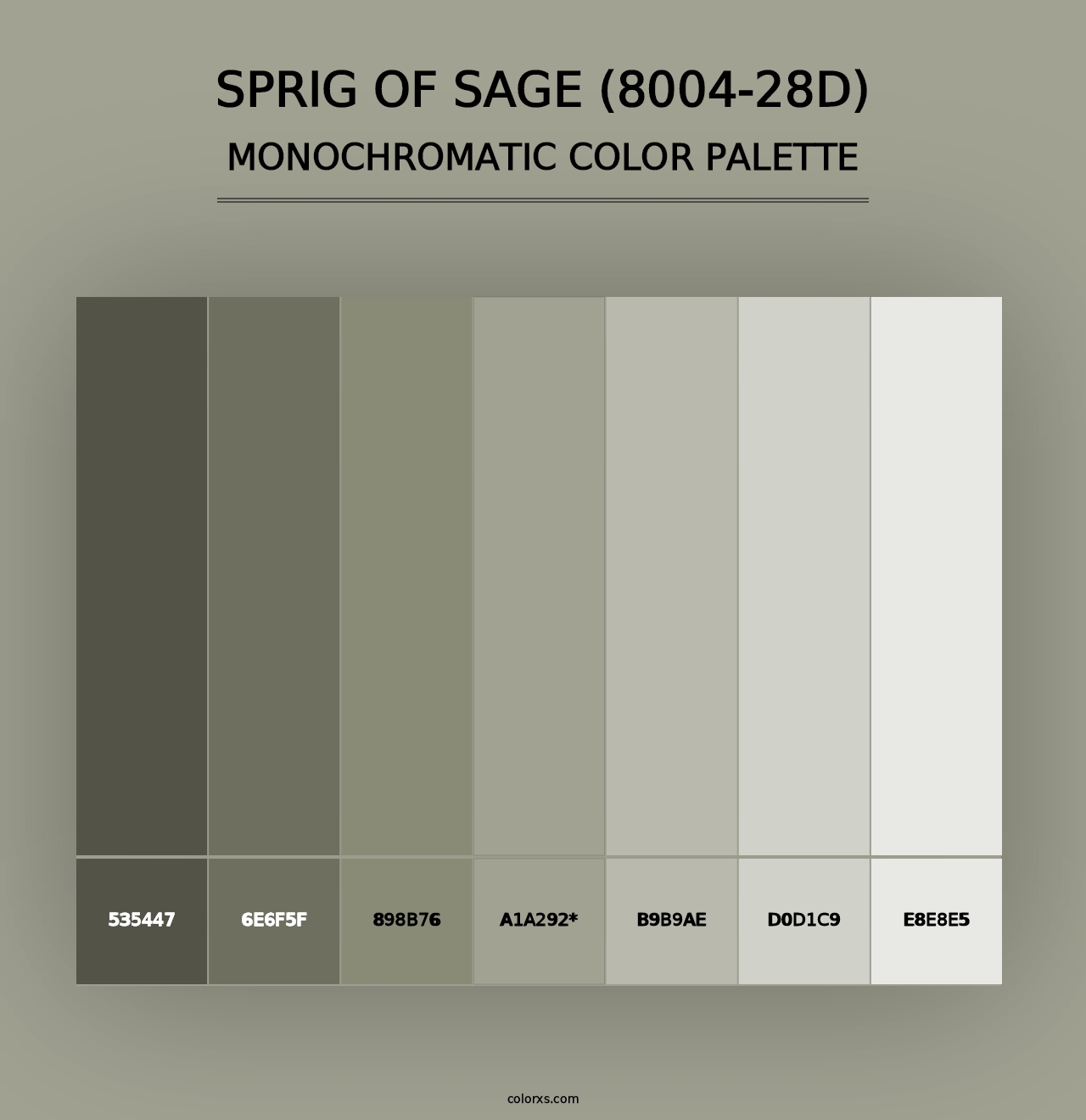 Sprig of Sage (8004-28D) - Monochromatic Color Palette