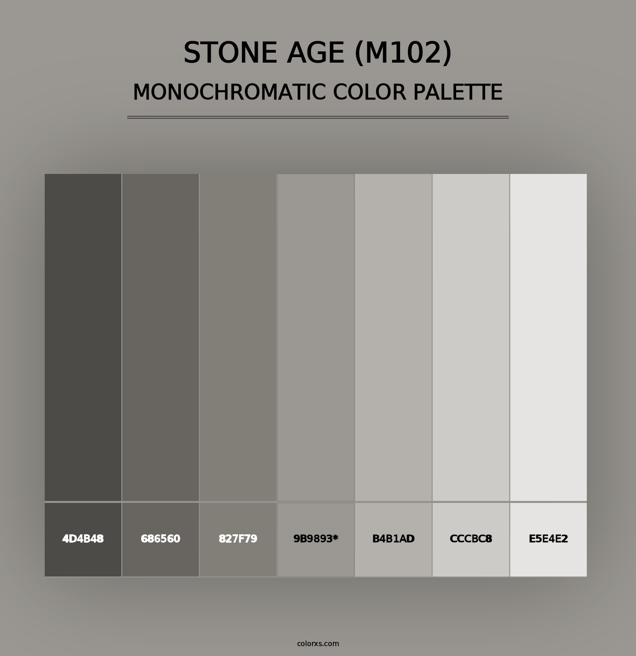 Stone Age (M102) - Monochromatic Color Palette