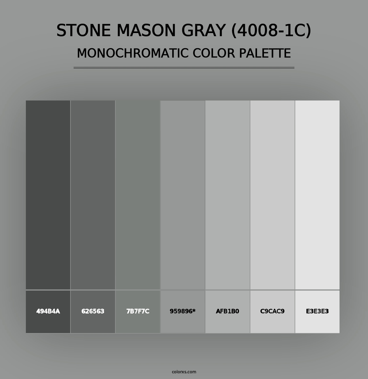 Stone Mason Gray (4008-1C) - Monochromatic Color Palette